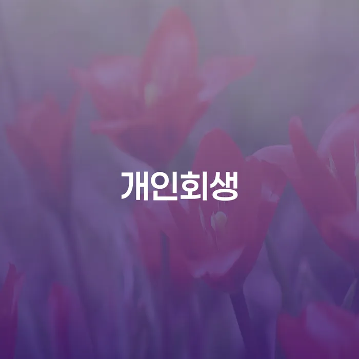 빚 개인회생으로 현명하게 알아보는 꿀 팁!