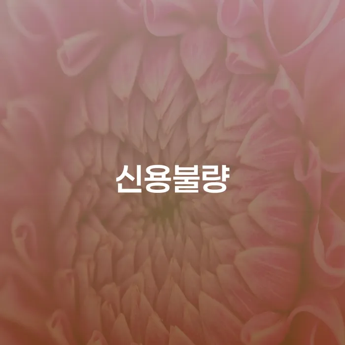 개인회생진술서 개인회생 처리방법 있는지확인