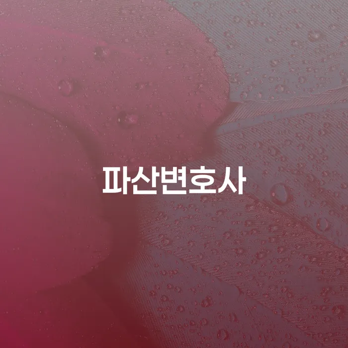 개인회생법무사 개인파산 확실한 진행