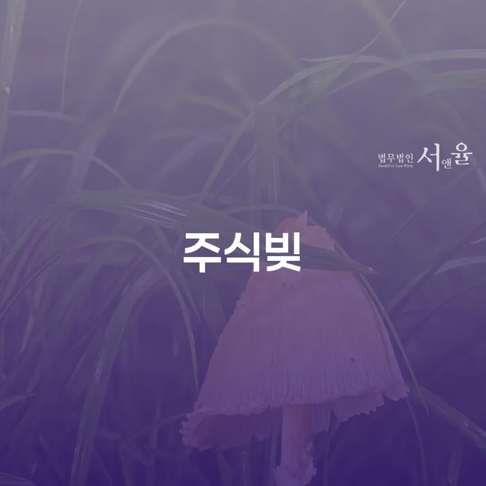 개인회생미납 빚 합법적인 빠른방법 진행하는
