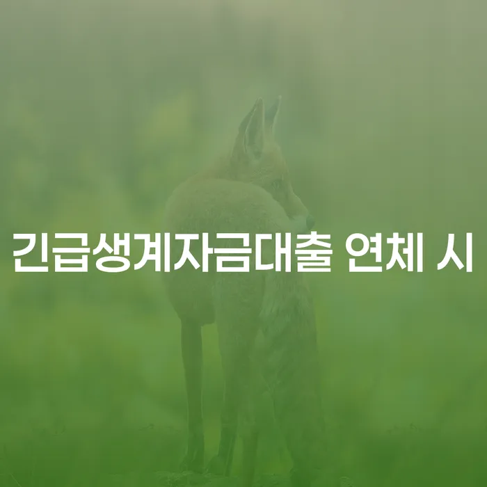 공무원개인회생 개인회생으로 해결방법 해결하고 싶다면