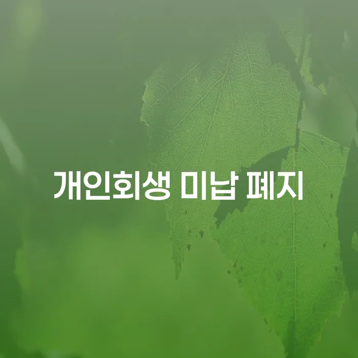 강릉시 채무조정제도 빚 합법적인 빠른방법 채무조정제도를 이용