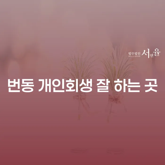 번동 개인회생 잘 하는 곳