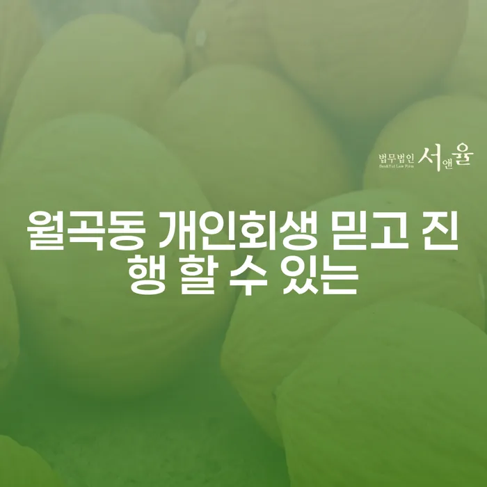 월곡동 개인회생 믿고 진행 할 수 있는