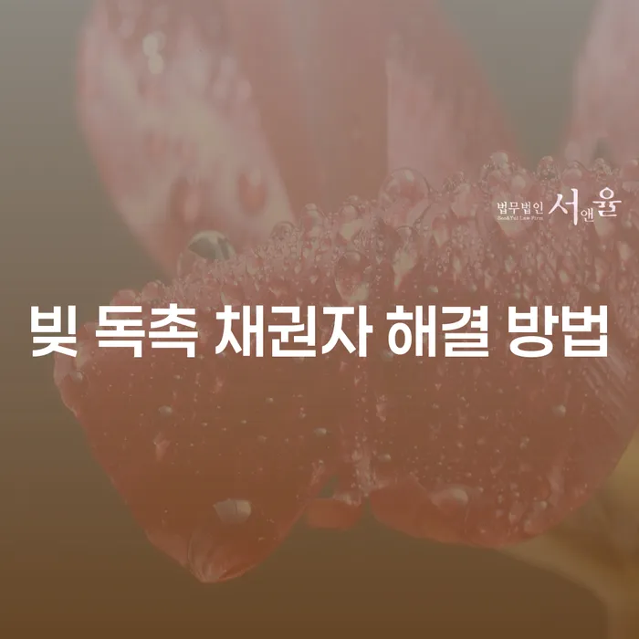 빚 독촉 채권자 해결 방법: 어떻게 대처할 수 있을까요?