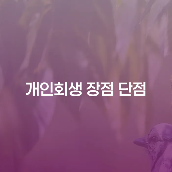 화곡동 개인회생의 장점과 단점: 채무 해결의 길잡이