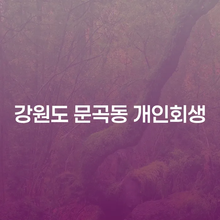 강원도 문곡동 개인회생, 어떻게 신청할 수 있을까요?