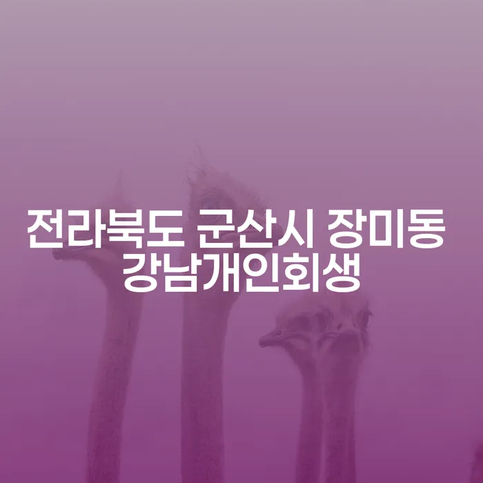 전라북도 군산시 장미동 강남개인회생, 당신도 신청할 수 있을까요?