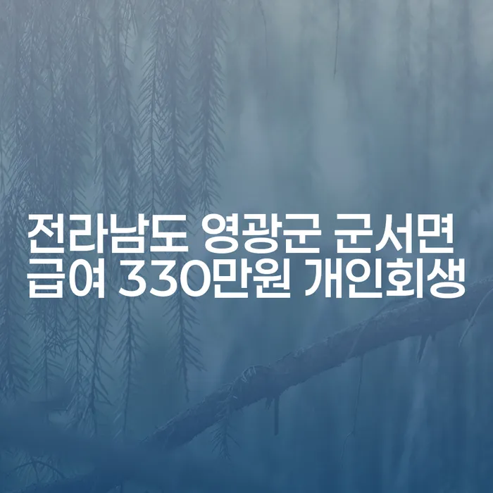 전라남도 영광군 군서면에서 급여 330만원으로 개인회생을 신청하려면?