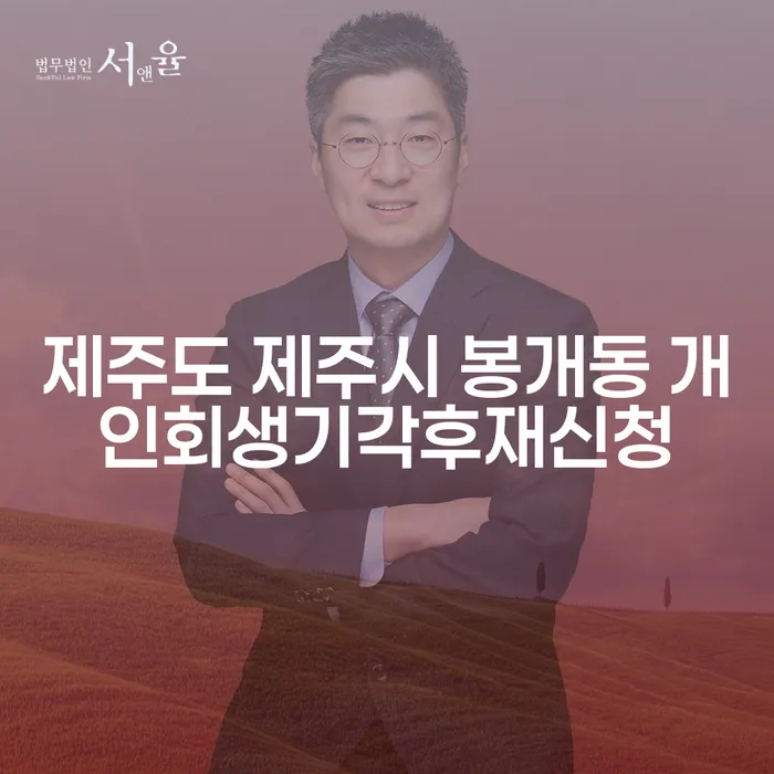 제주도 제주시 봉개동에서 개인회생 기각 후 재신청, 어떻게 해야 할까요?