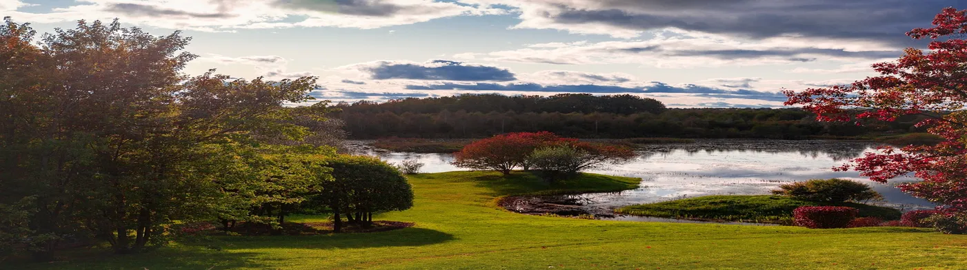 법무법인 서앤율