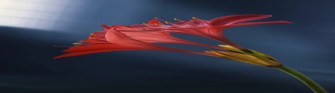 법무법인 서앤율