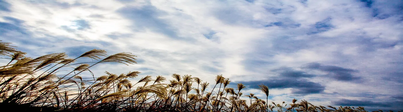 법무법인 서앤율