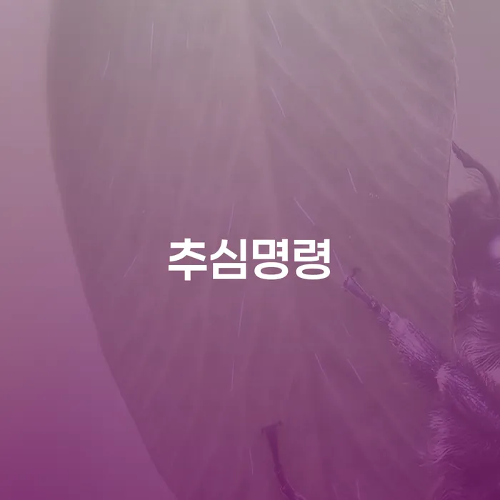 추심명령과 채무변제의 효과적인 관리 방법은 무엇일까요?